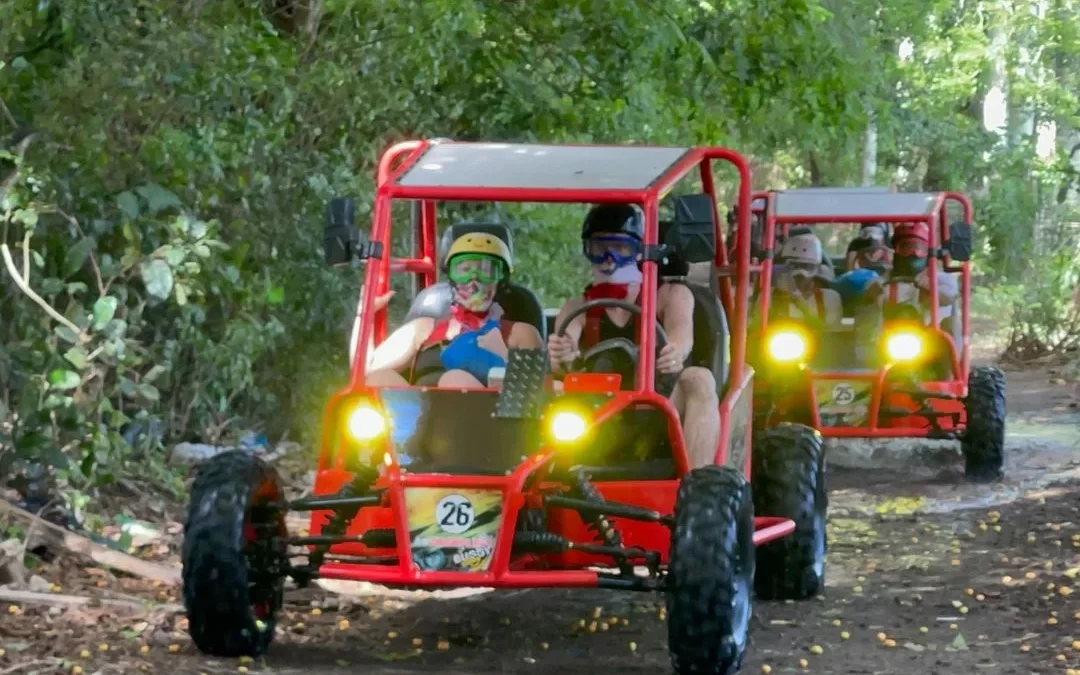 Buggy